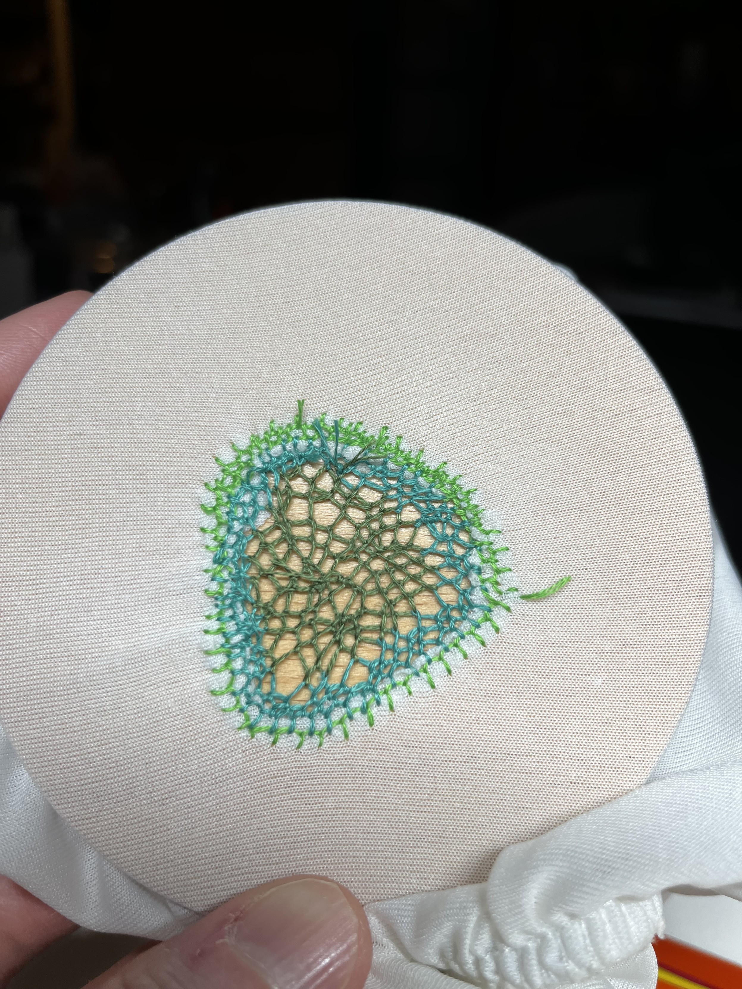 The hole has been filled in with a blanket stitch-type spiderweb in several different shades of green.